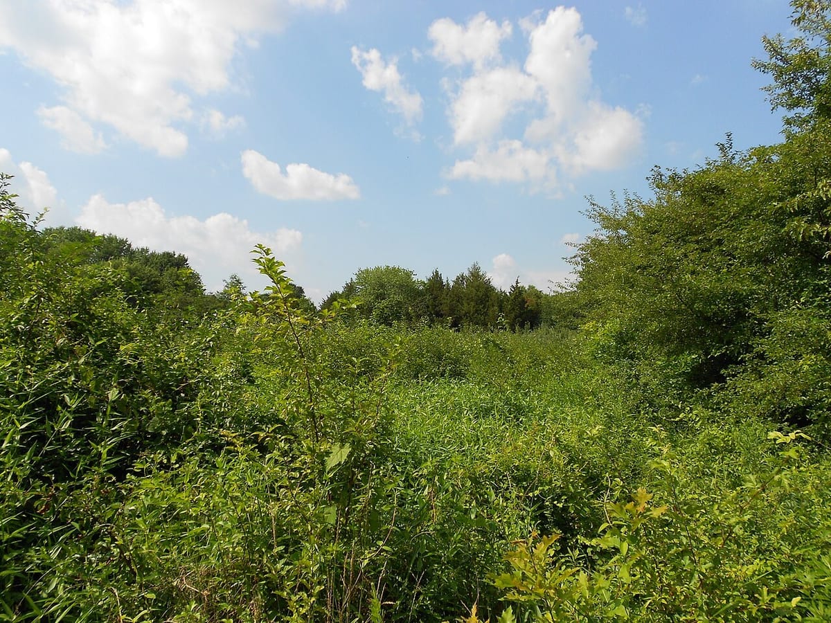 Photo taken Jun 15, 2026